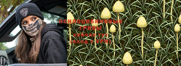 PSILOCYBIN Магадан