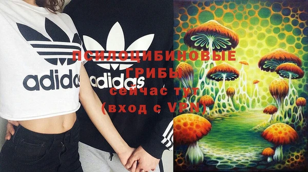 PSILOCYBIN Магадан