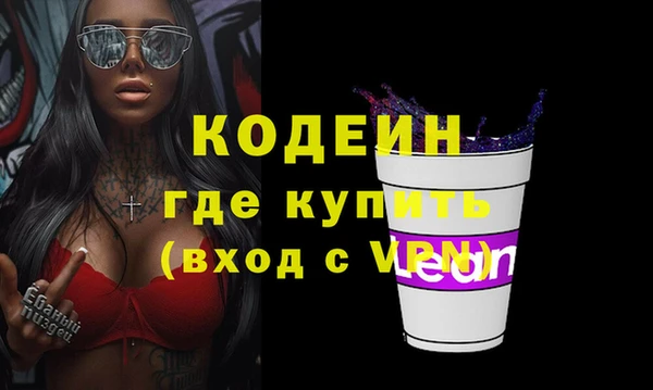хмурый Магас