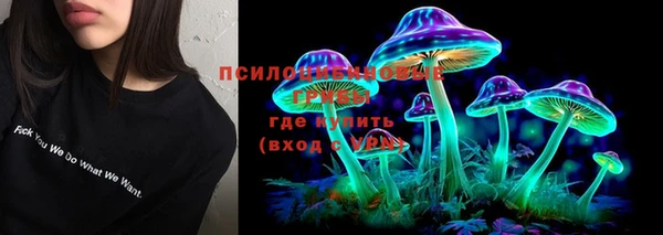 хмурый Магас