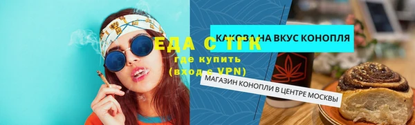 хмурый Магас
