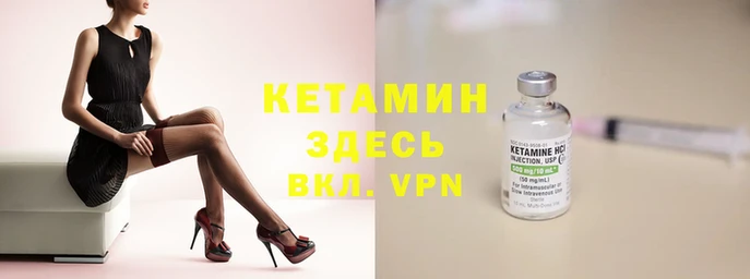 хмурый Магас