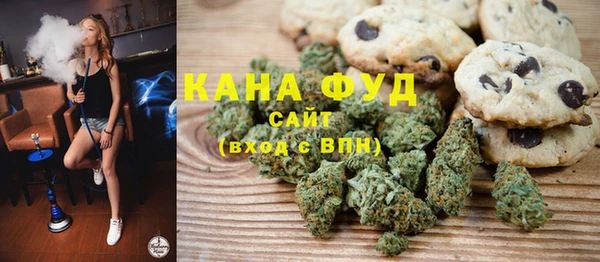 хмурый Магас