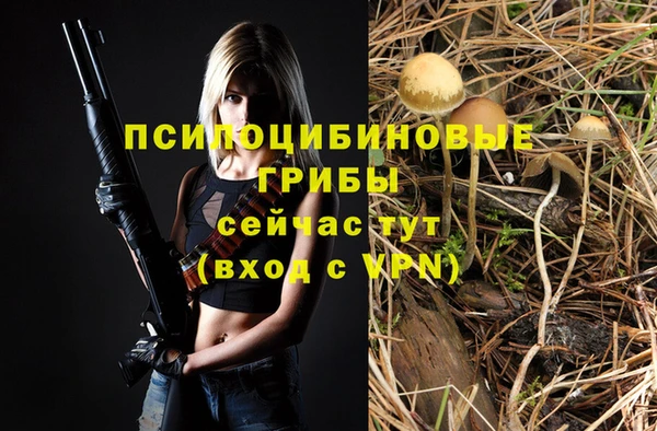 хмурый Магас