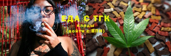 хмурый Магас