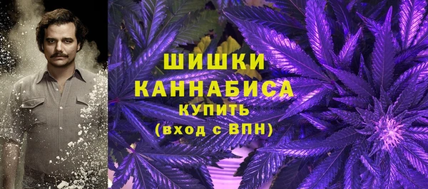 хмурый Магас