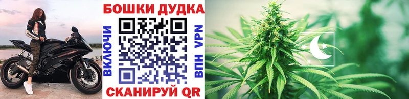 Марихуана планчик  Нахабино 